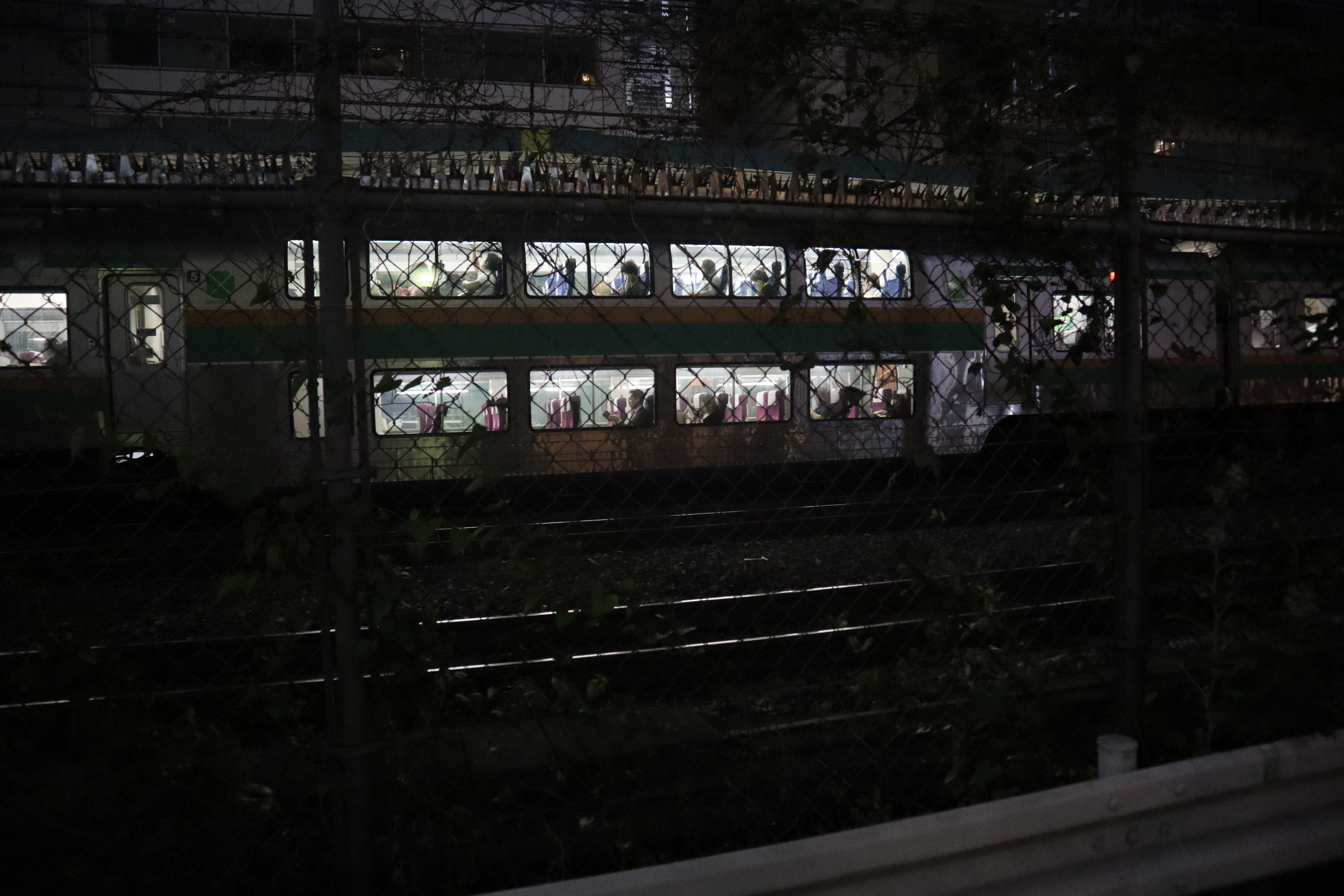 Document.tokyo