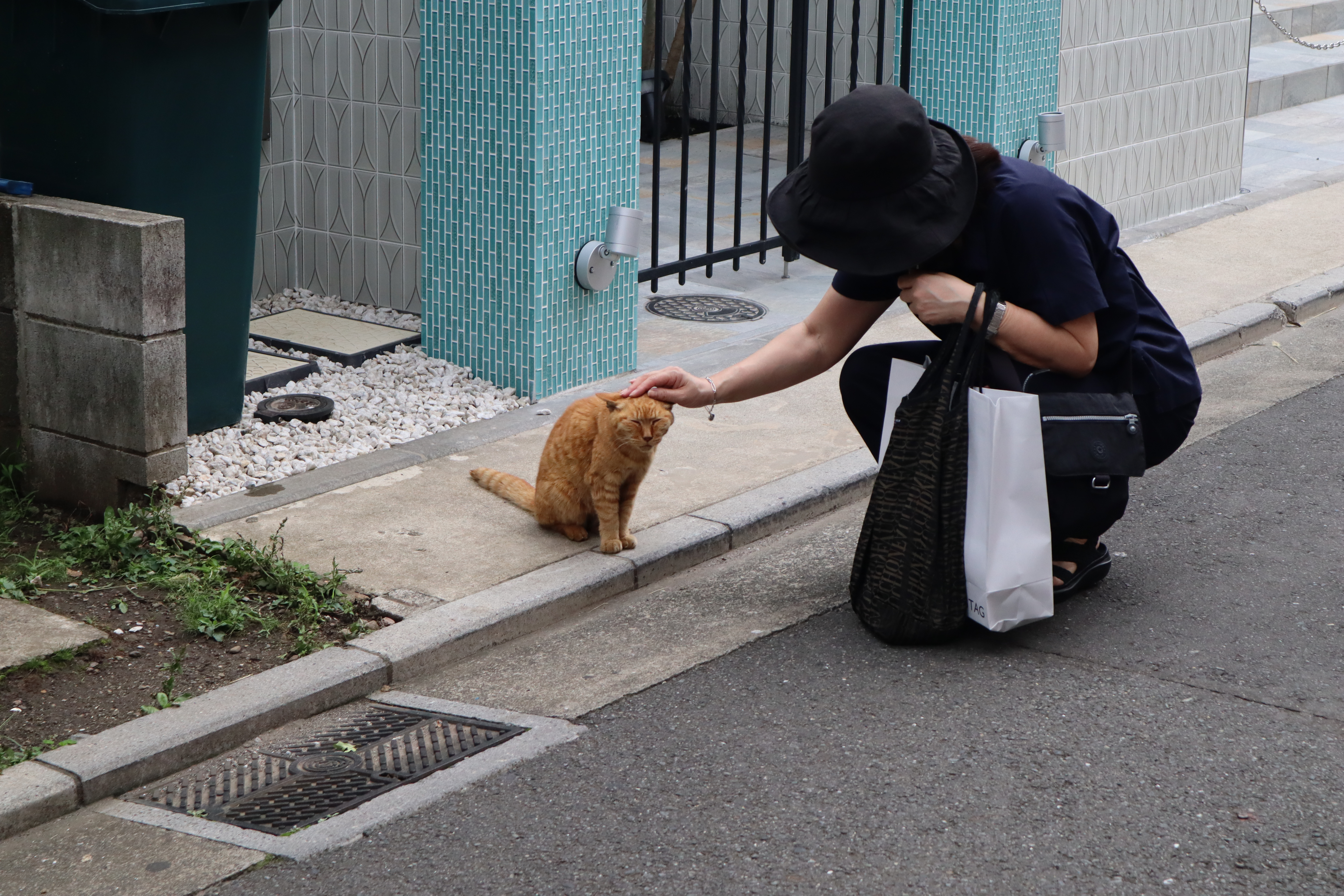 Document.tokyo