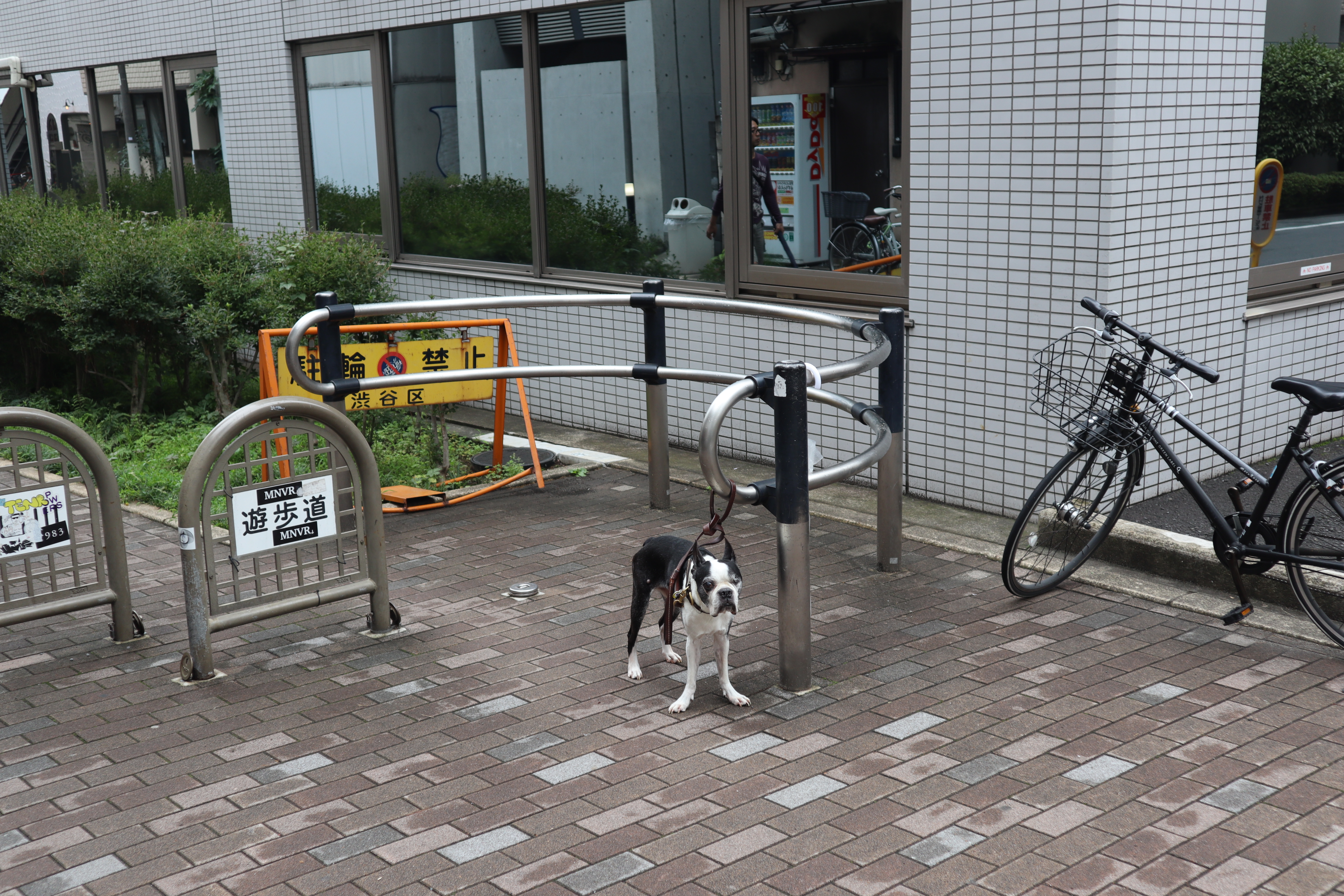 Document.tokyo