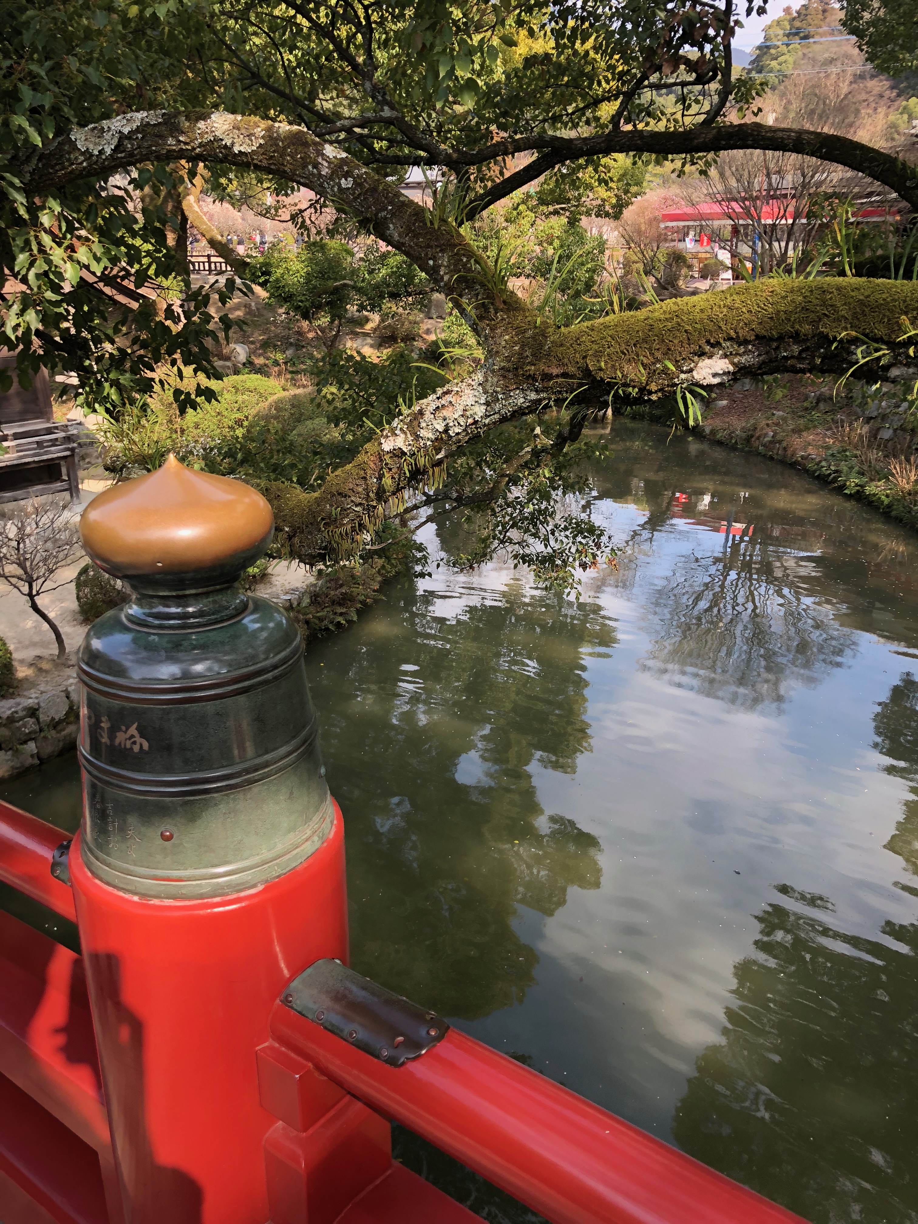 Umaifukuoka