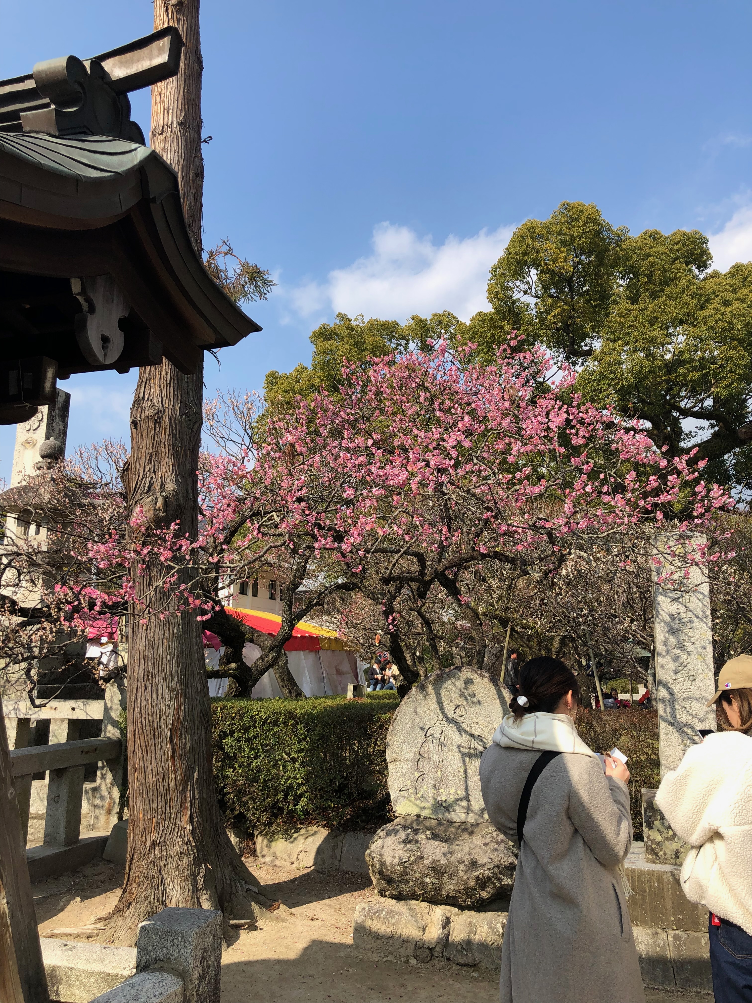 Umaifukuoka