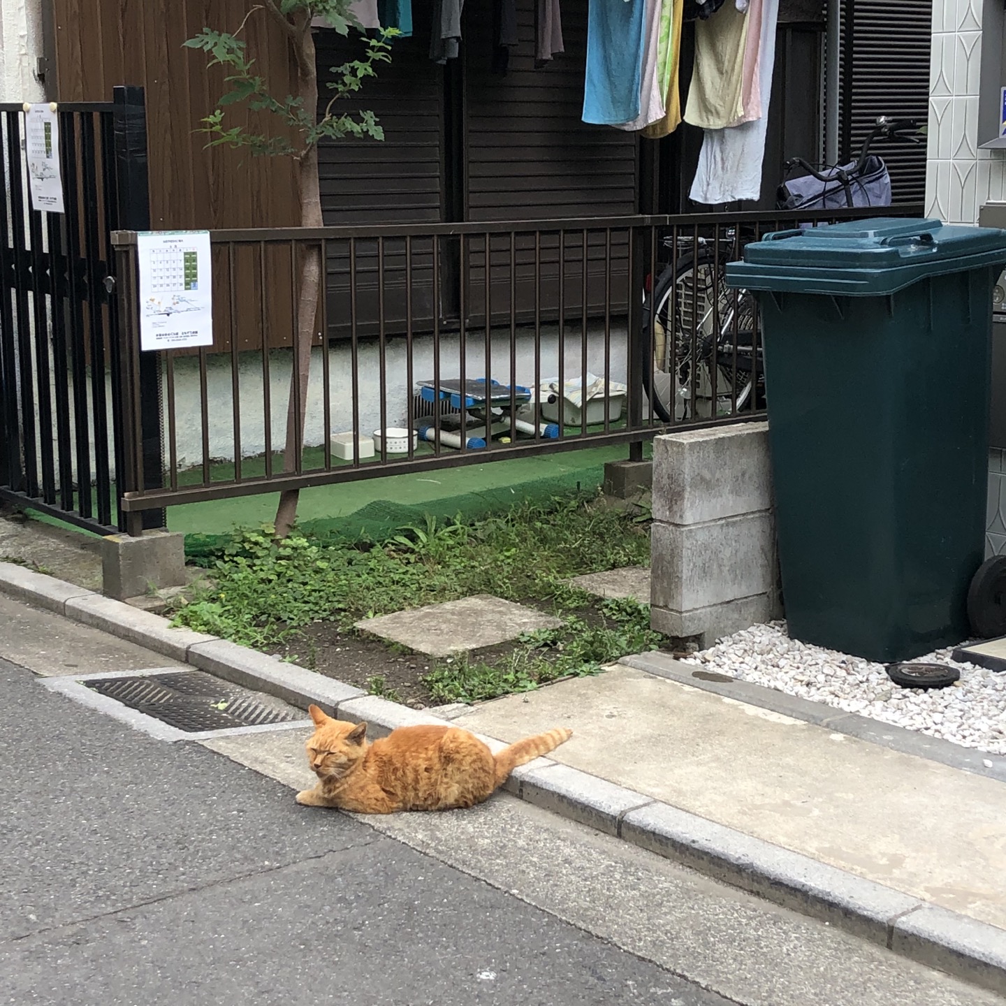 久しぶりの、東京