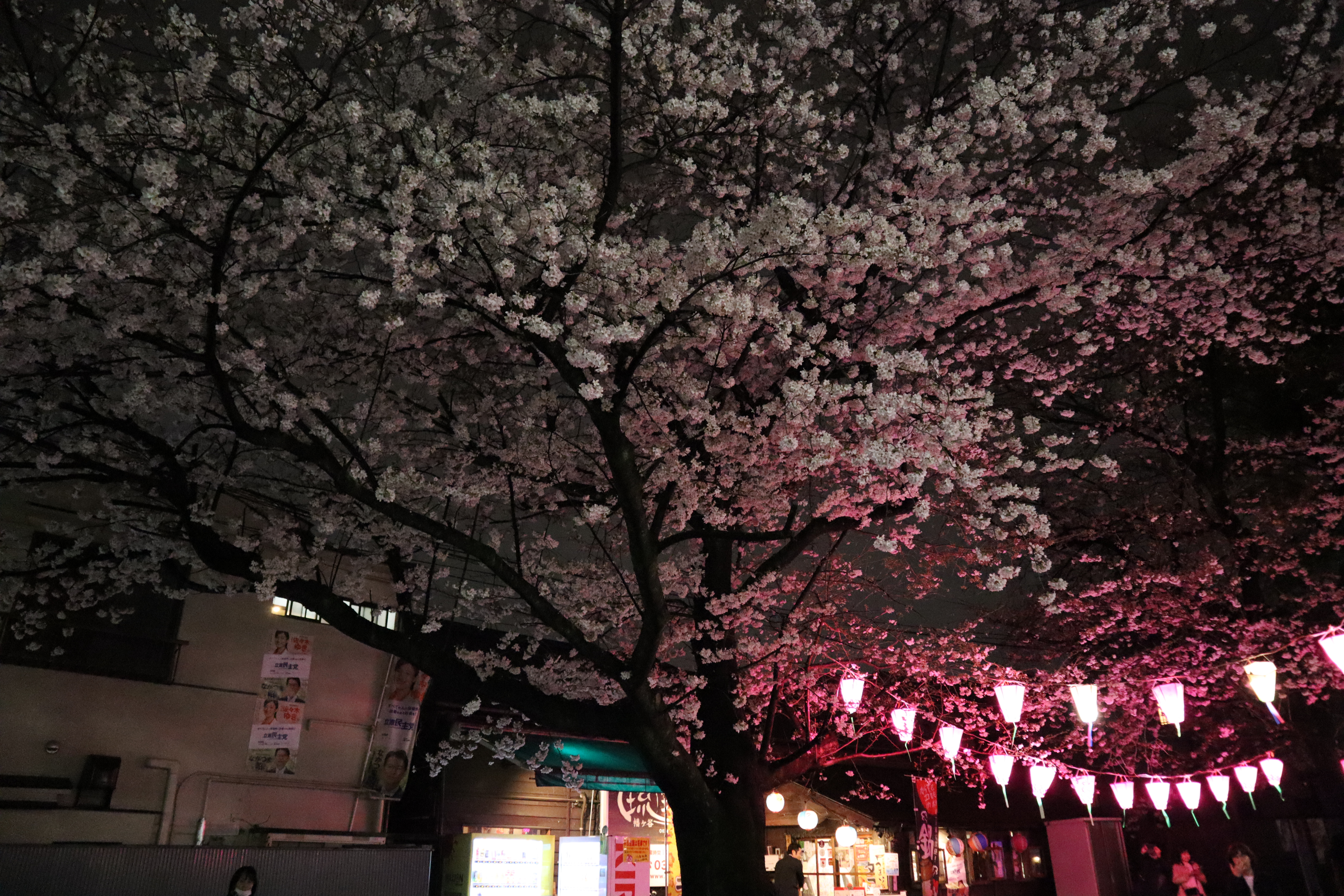 Document.tokyo