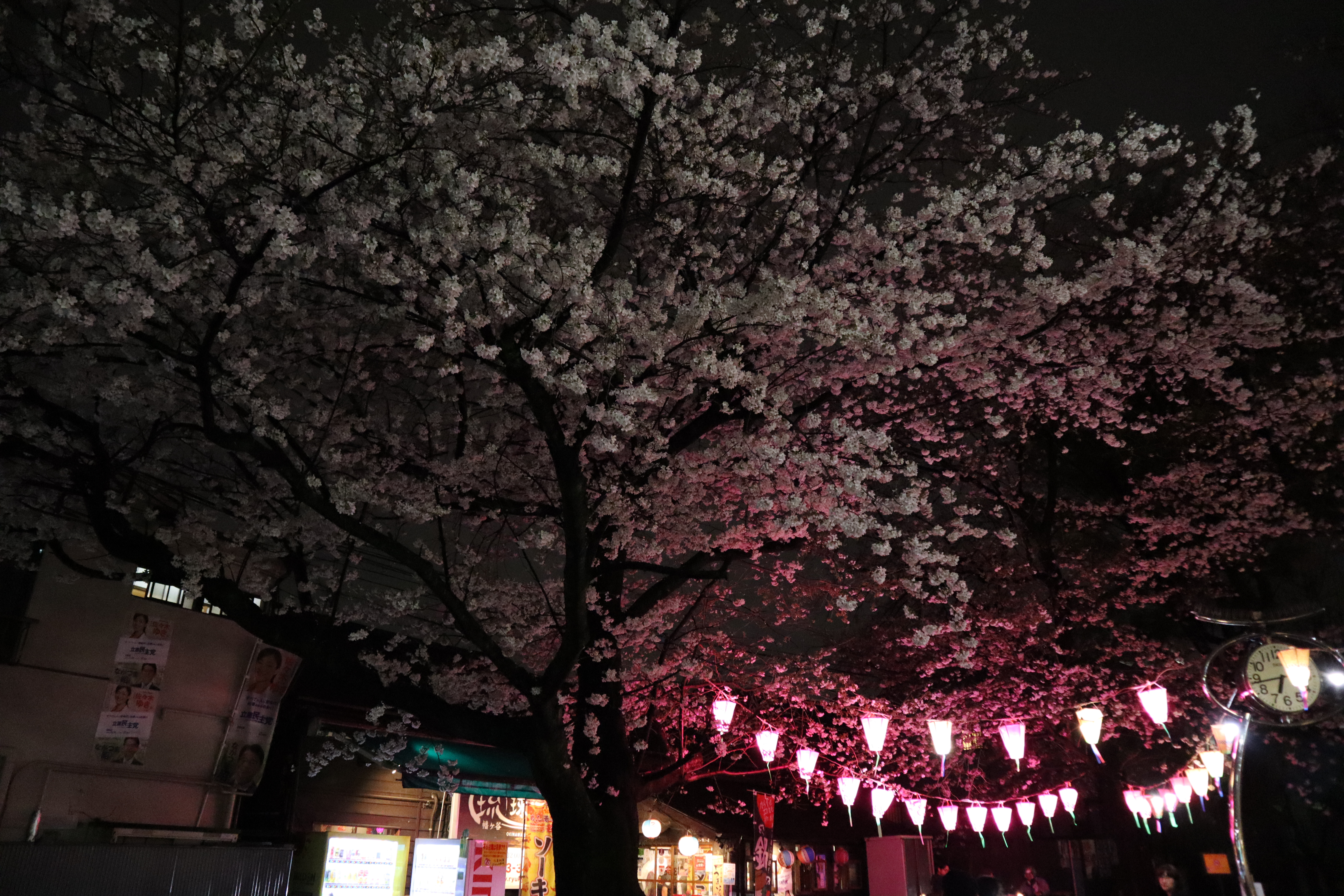 Document.tokyo