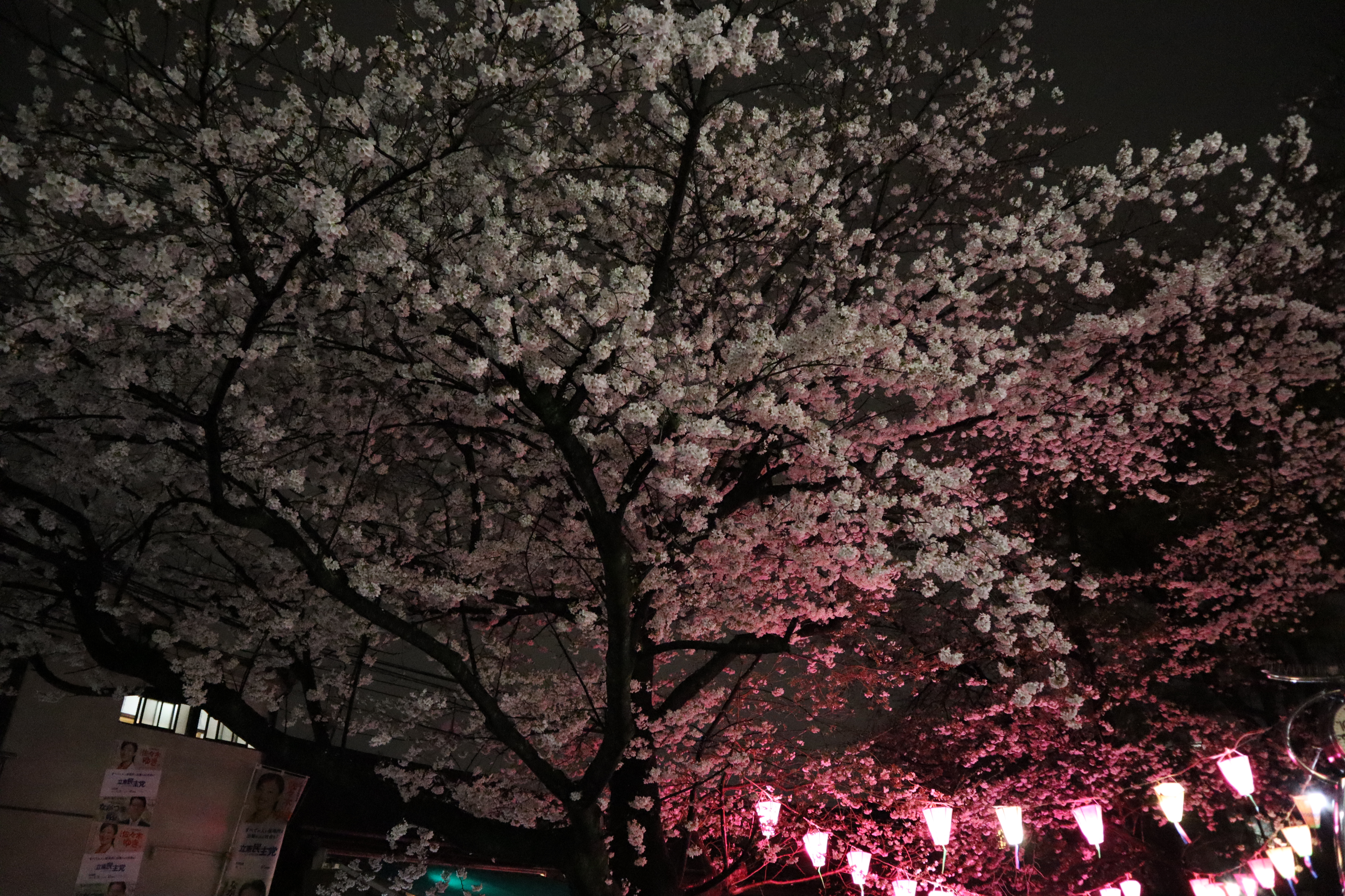 Document.tokyo