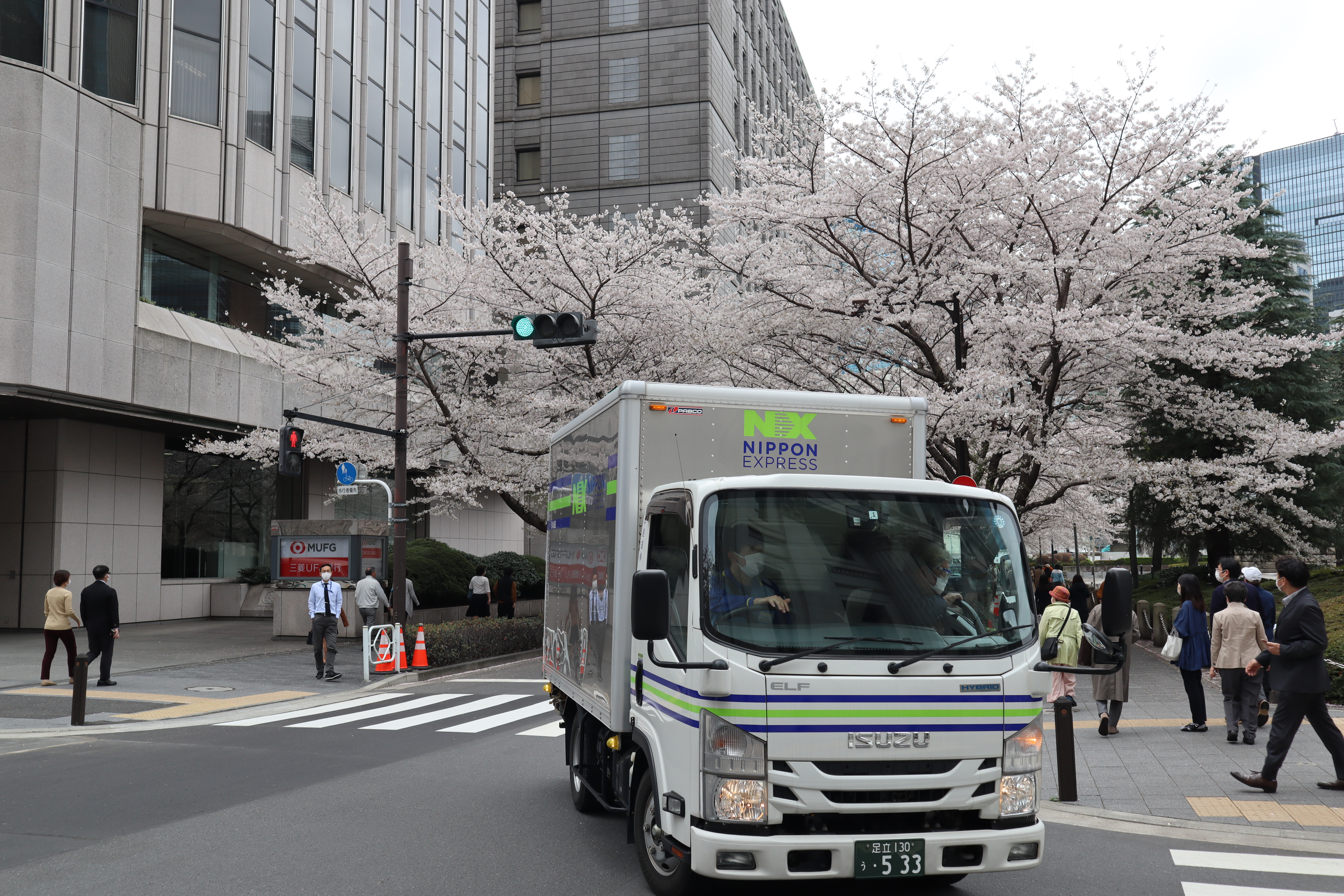 Document.tokyo