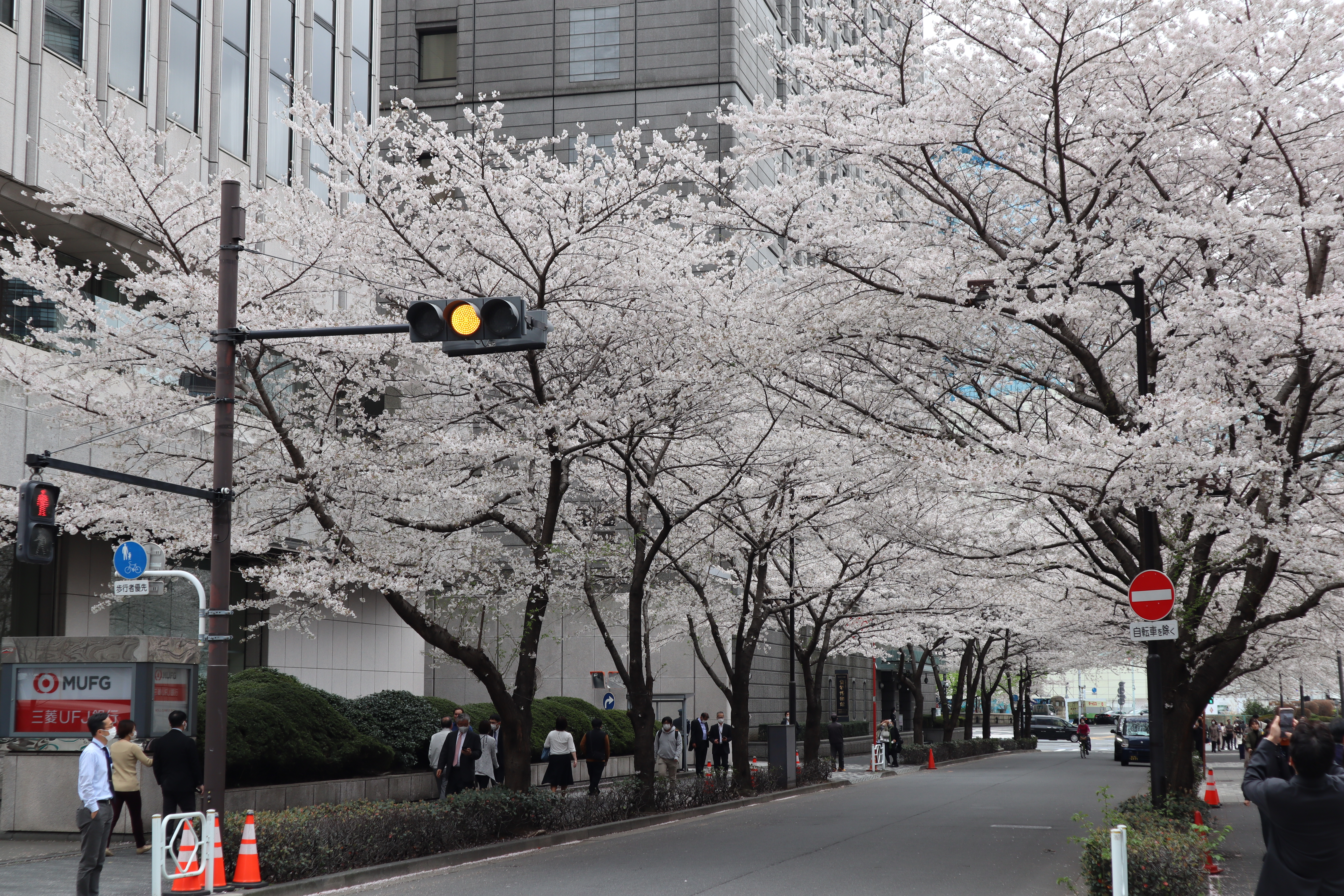 Document.tokyo