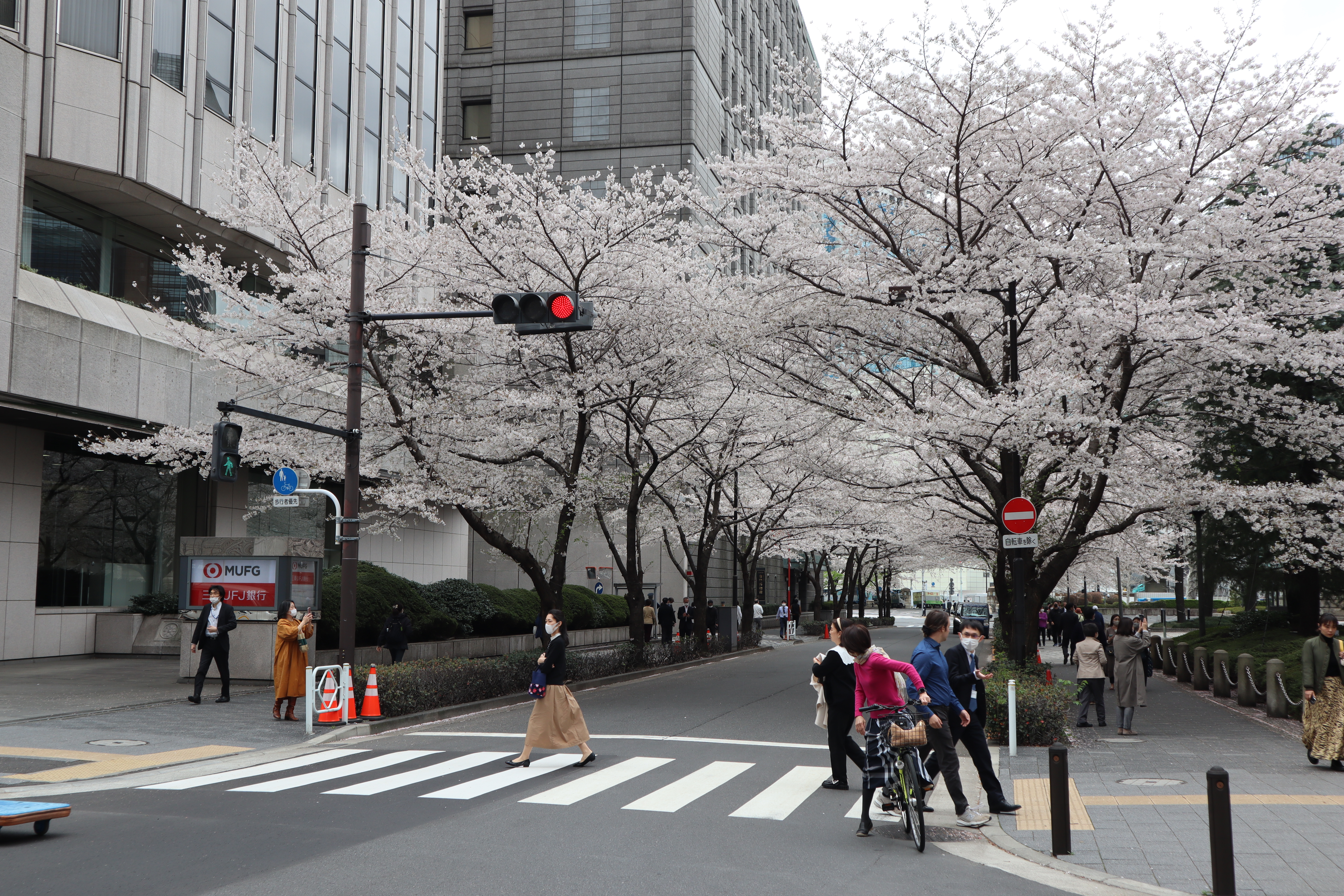 Document.tokyo