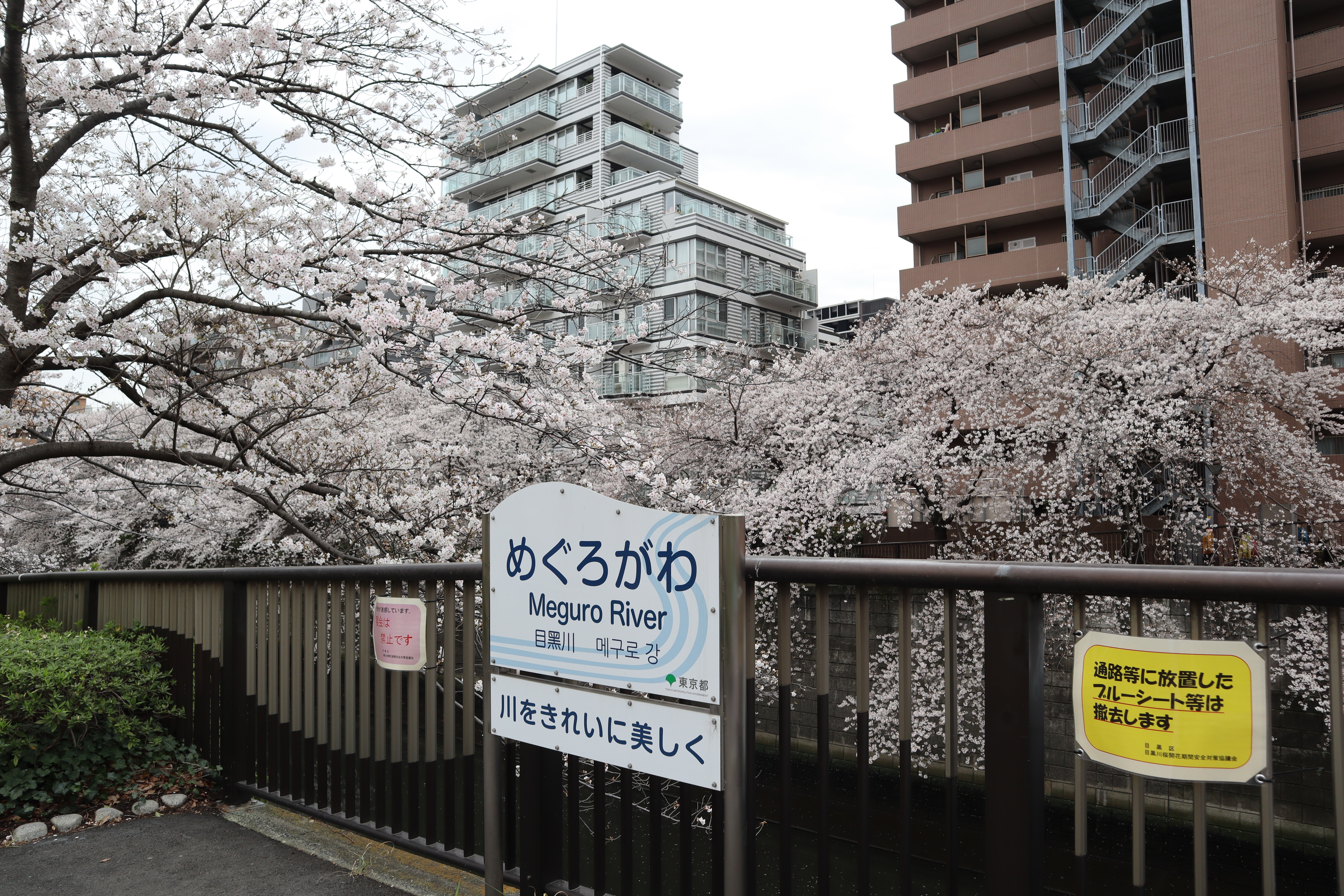 Document.tokyo
