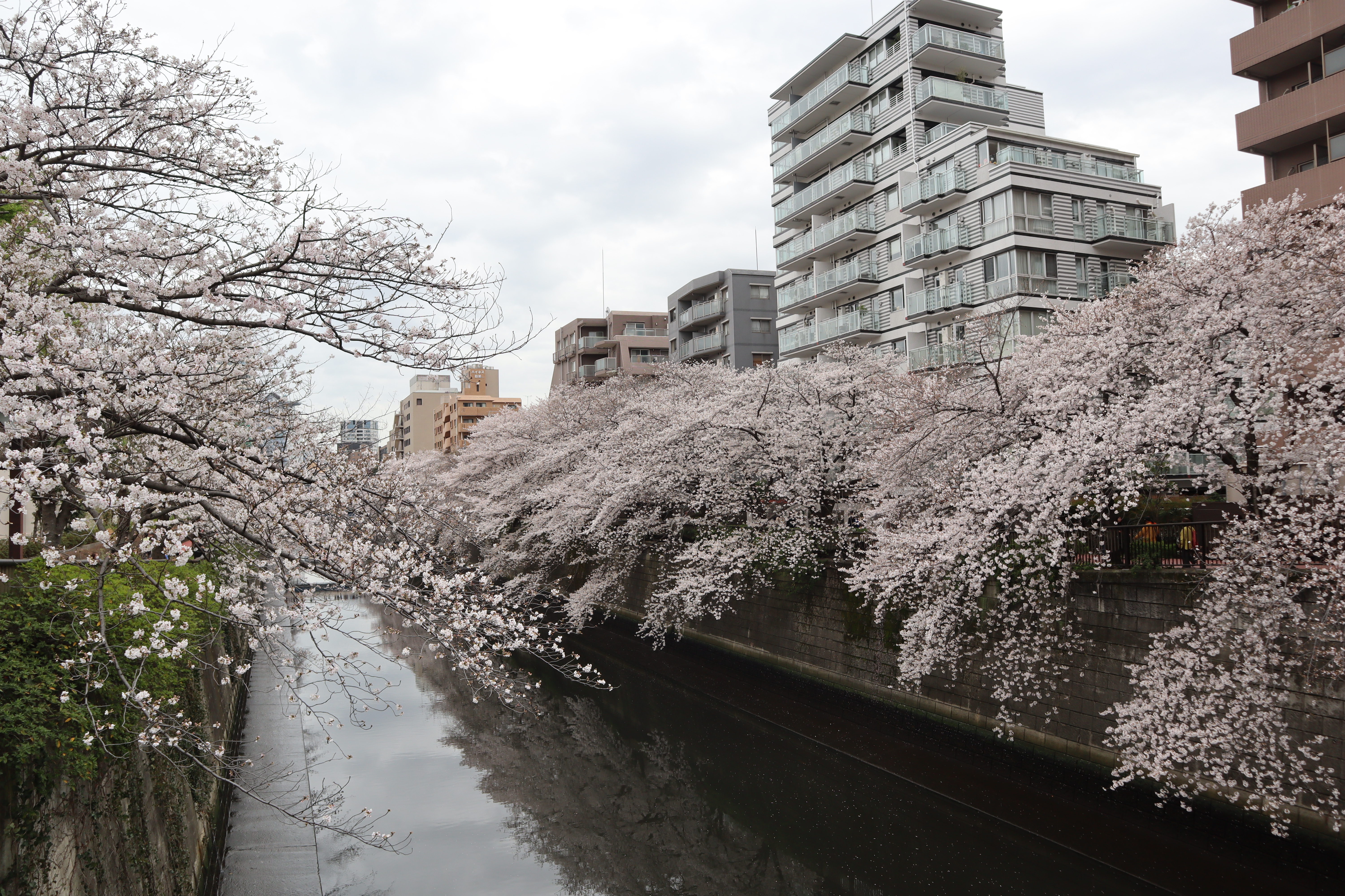 Document.tokyo