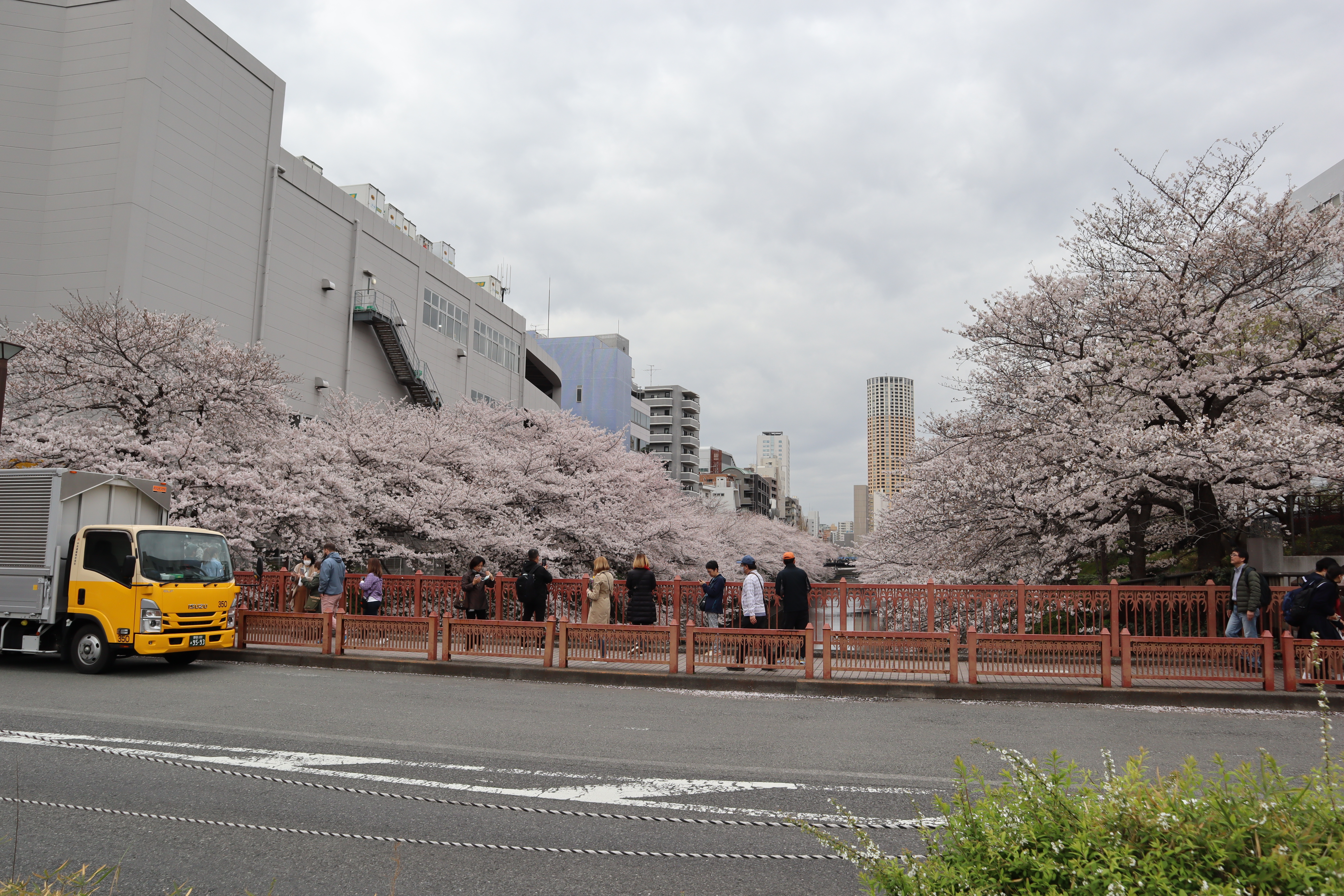 Document.tokyo