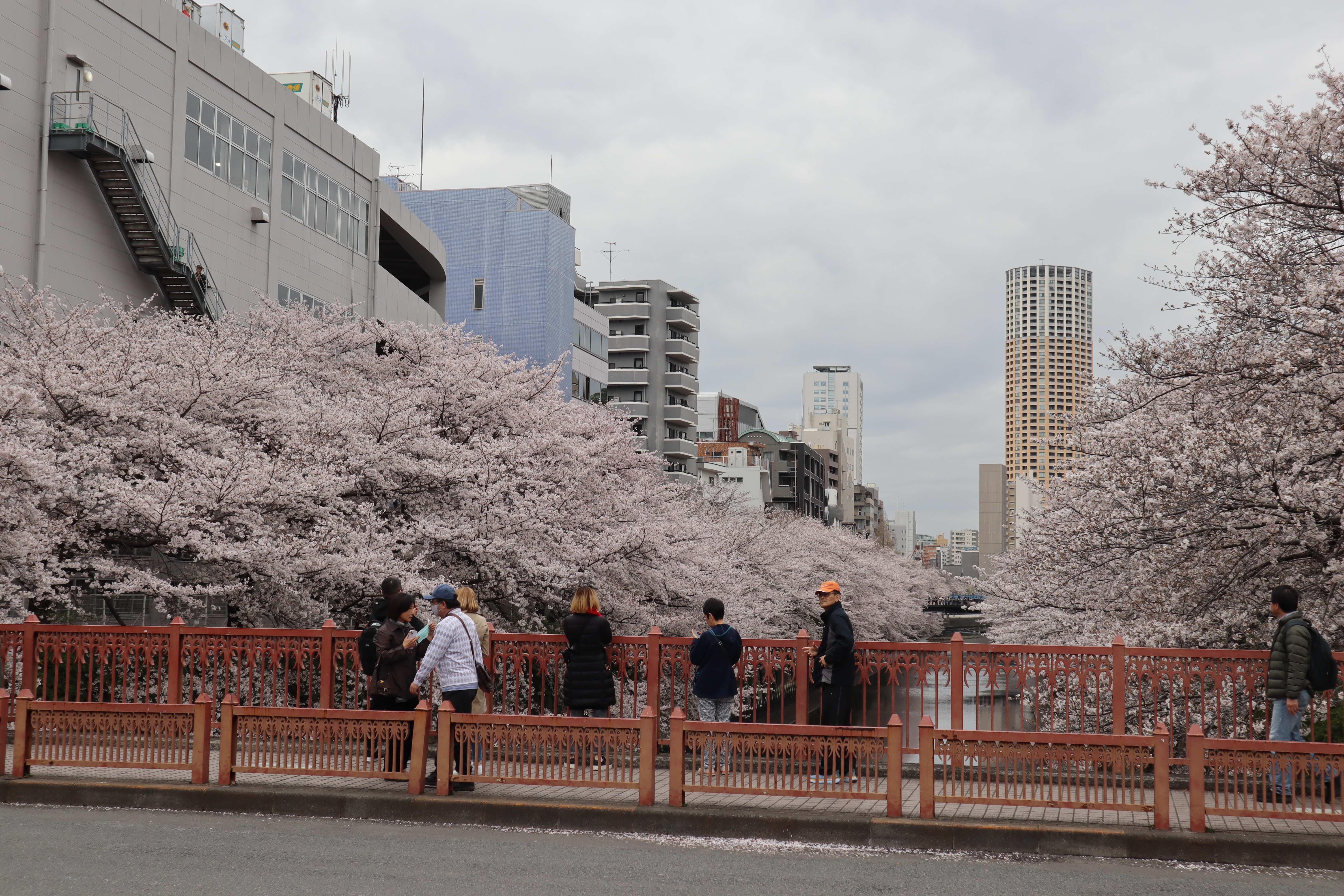 Document.tokyo