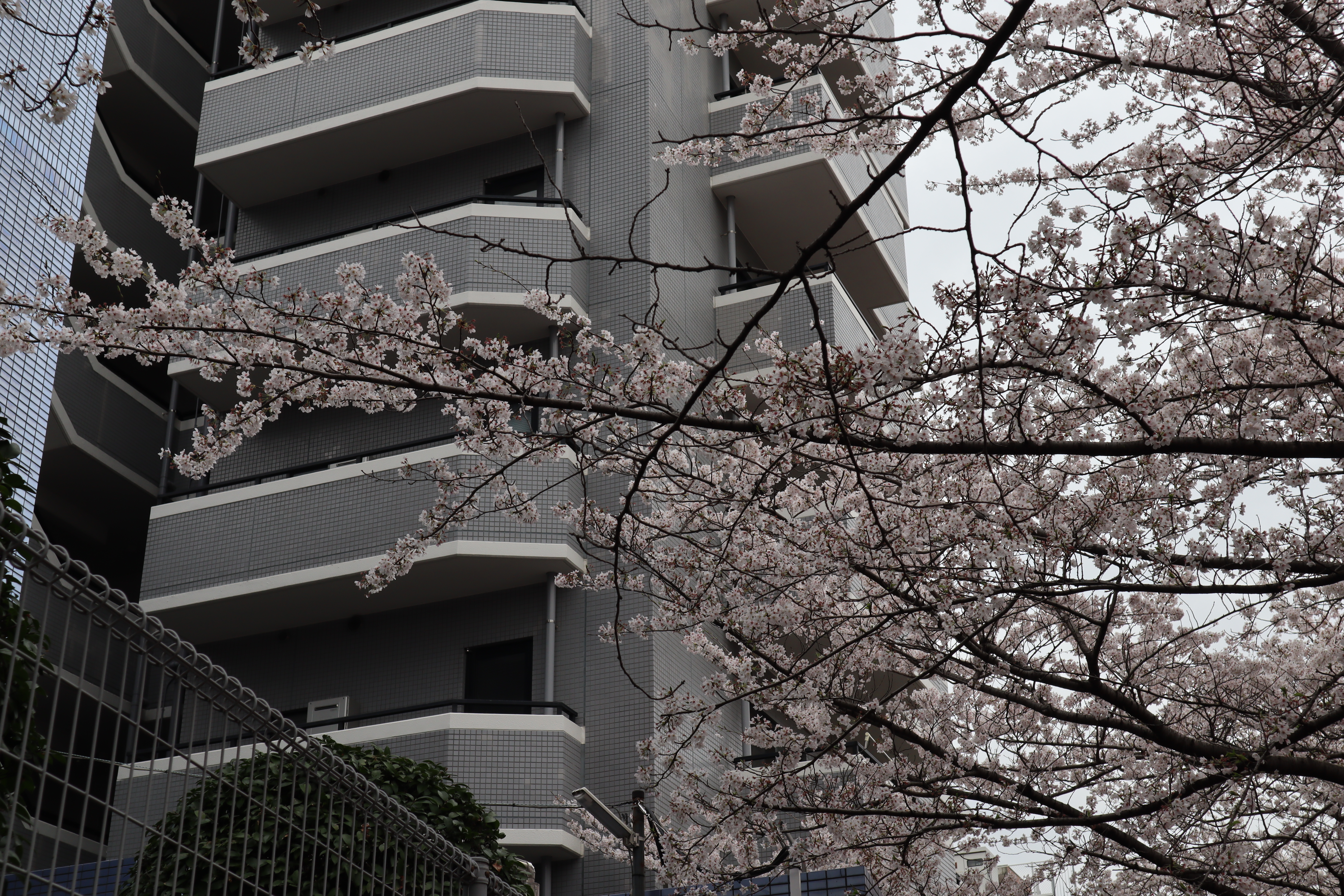 Document.tokyo