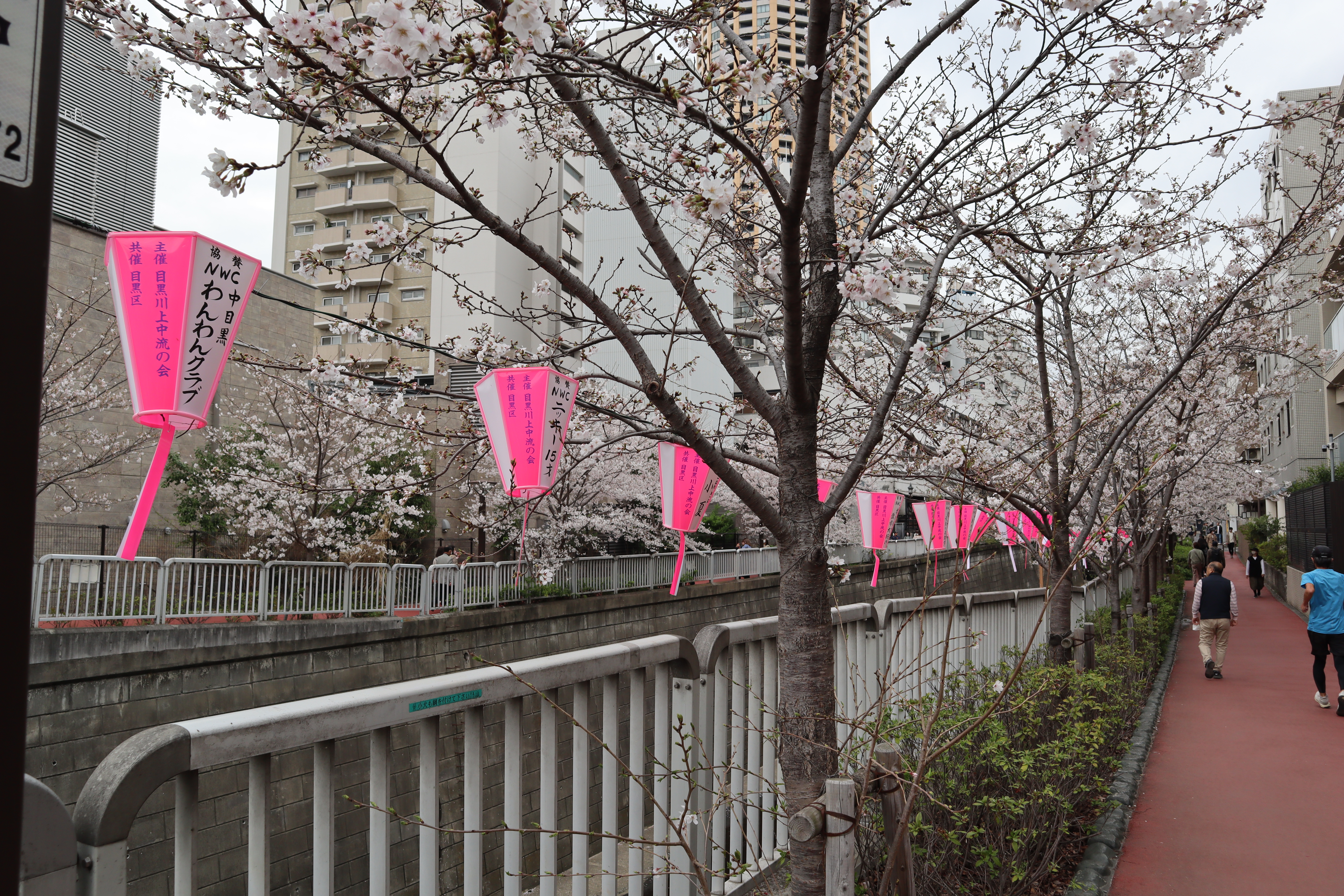 Document.tokyo