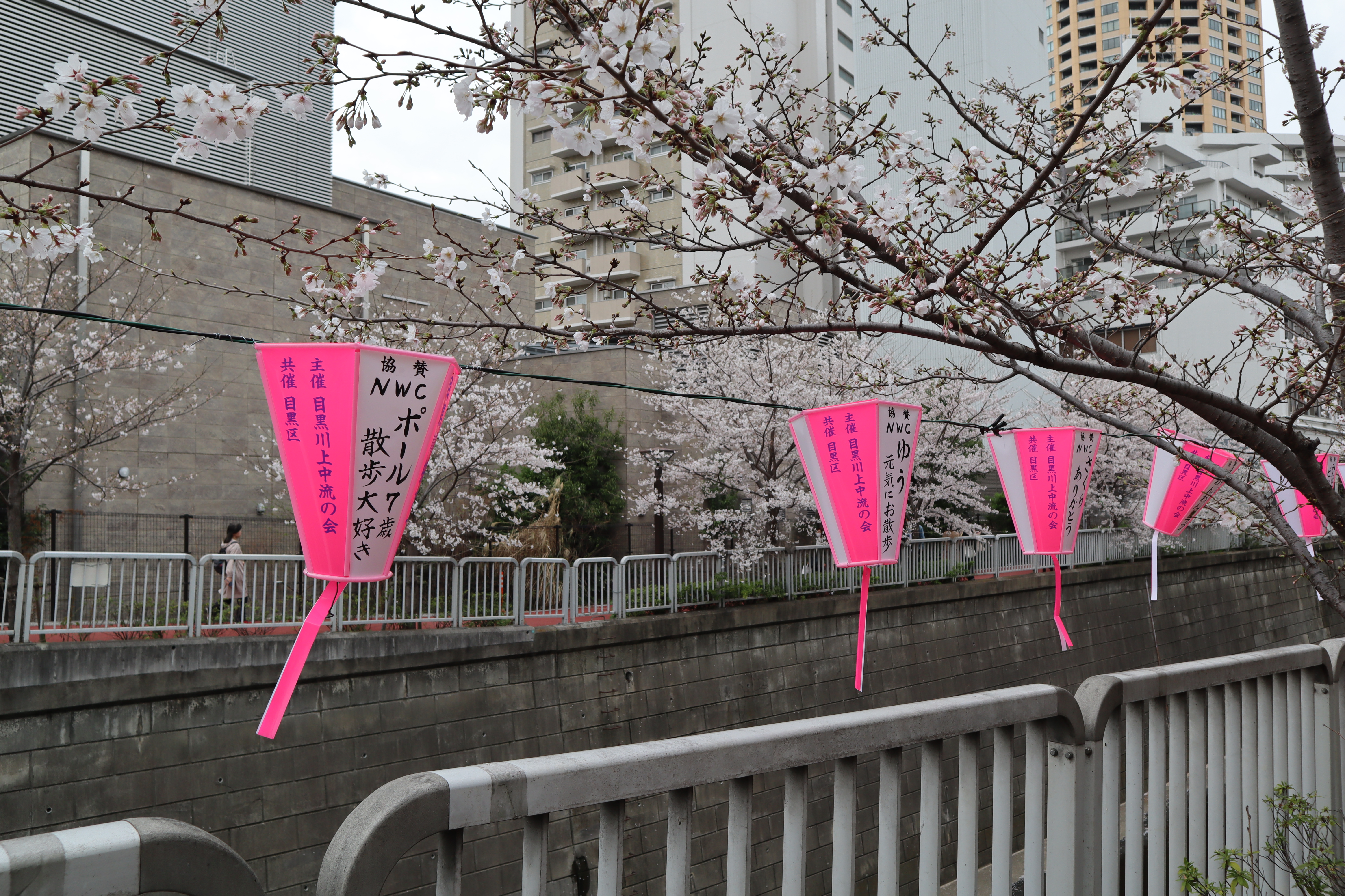 Document.tokyo
