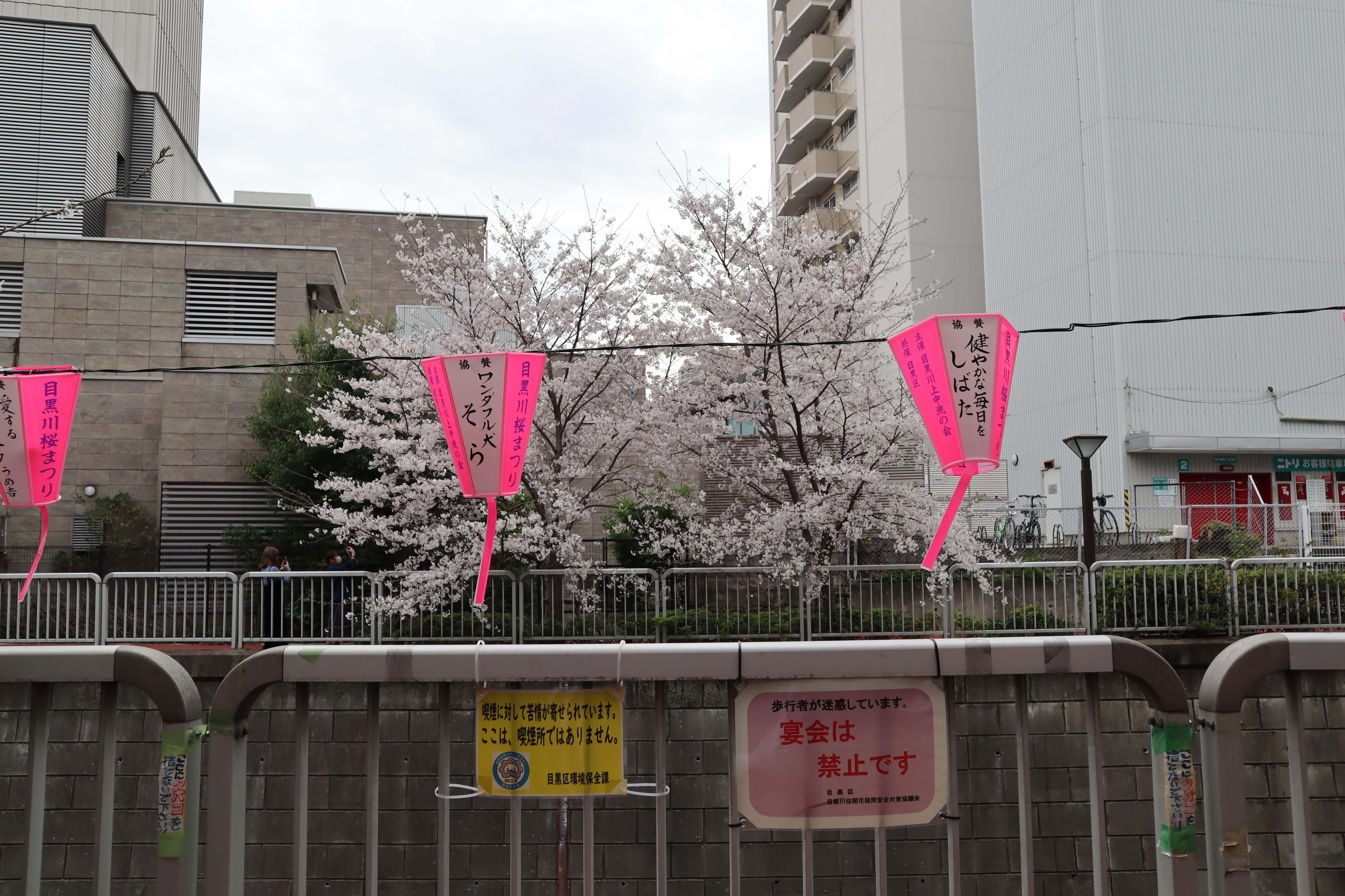 Document.tokyo